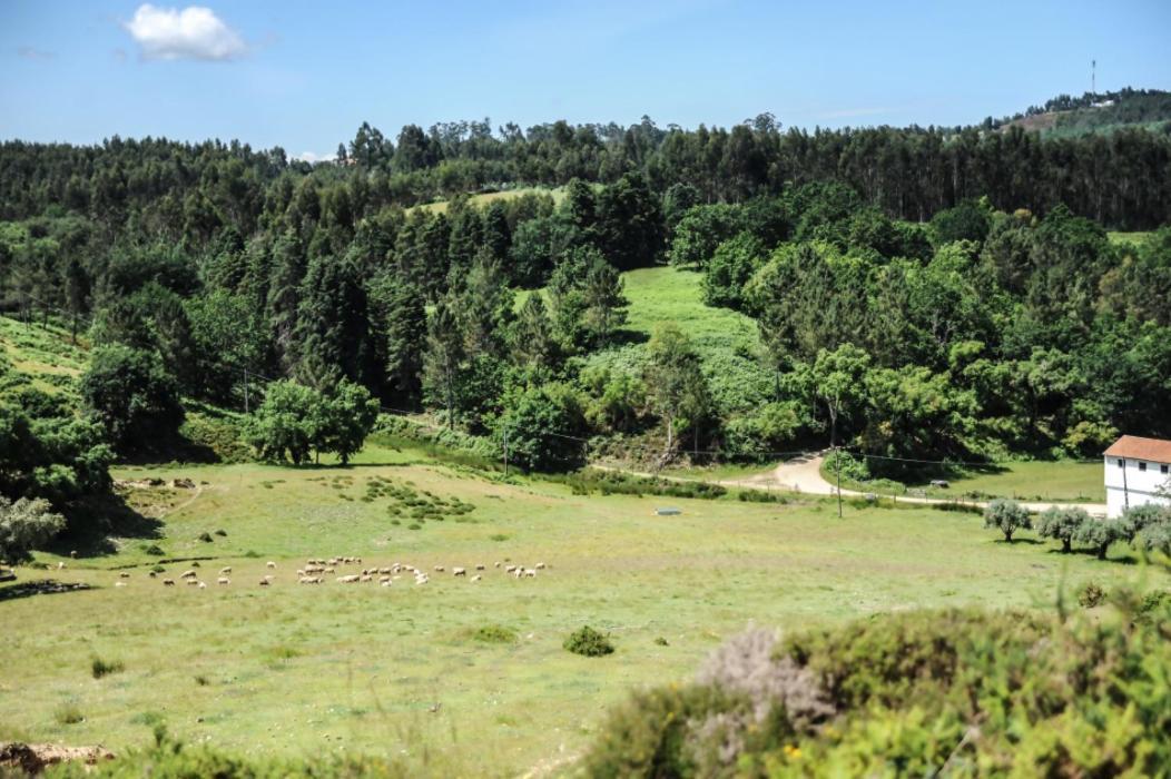 Vumba Agroturismo Arganil Exterior foto
